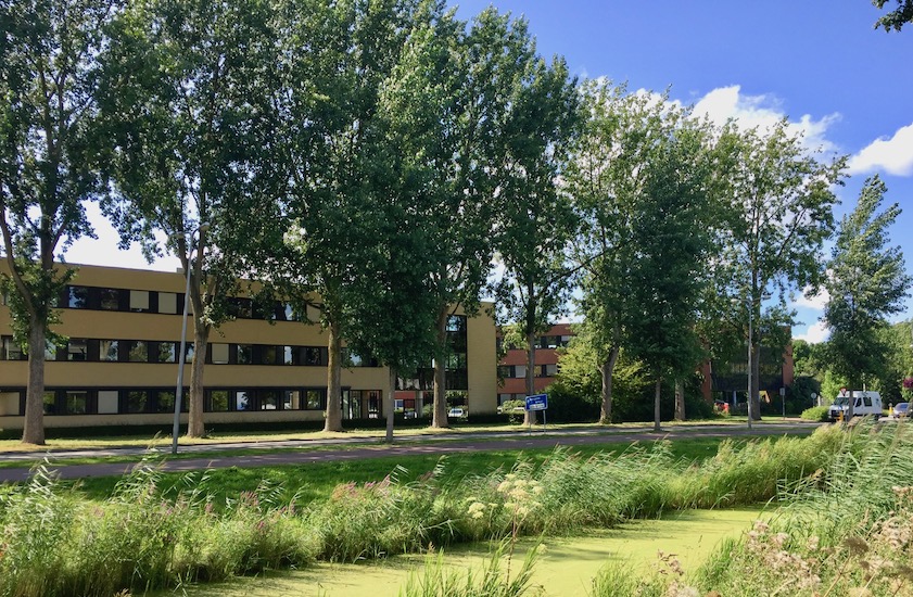 Bomen kappen Ridderkerk